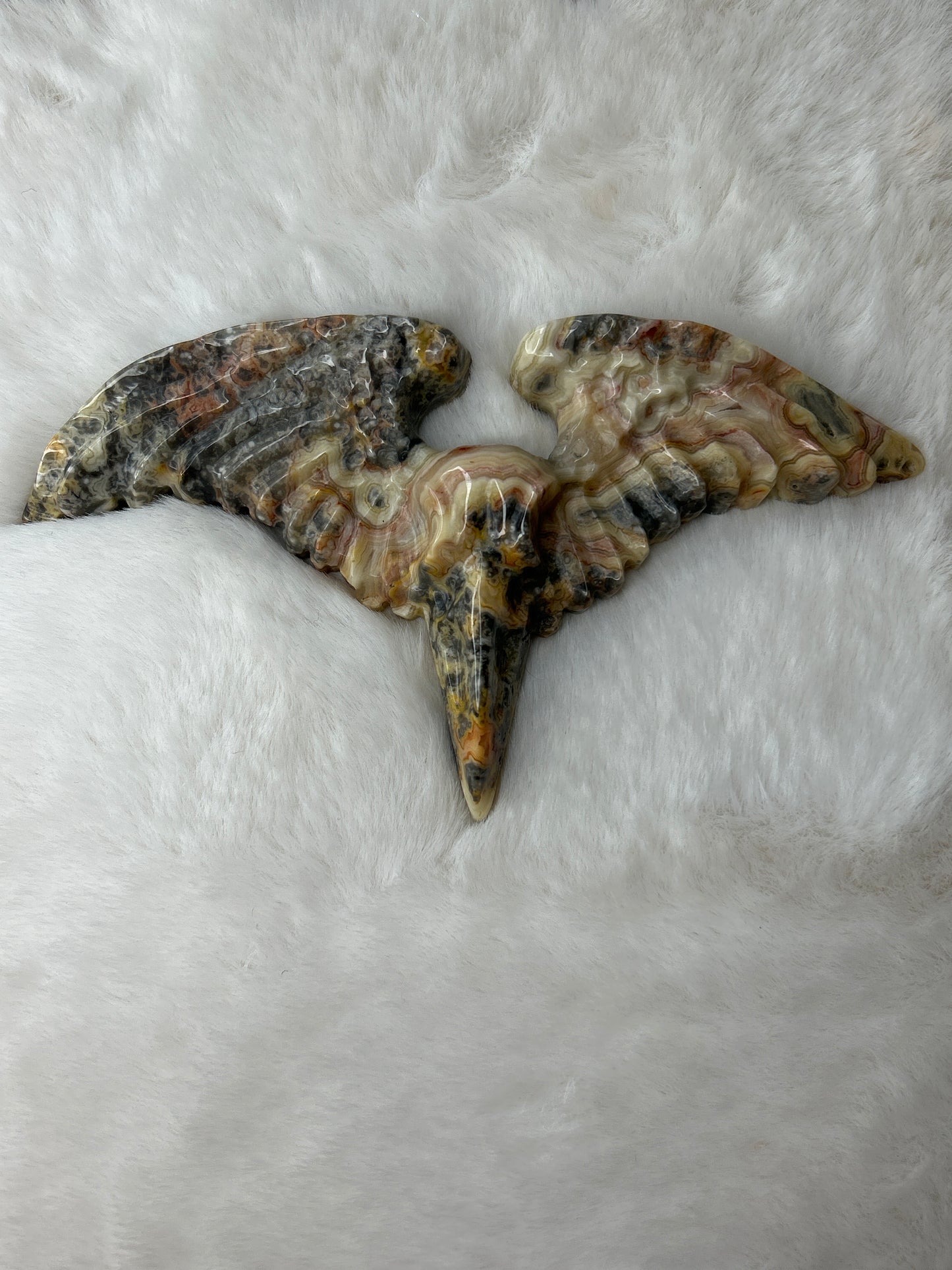 Crazy Lace Agate Raven Skull & Wings