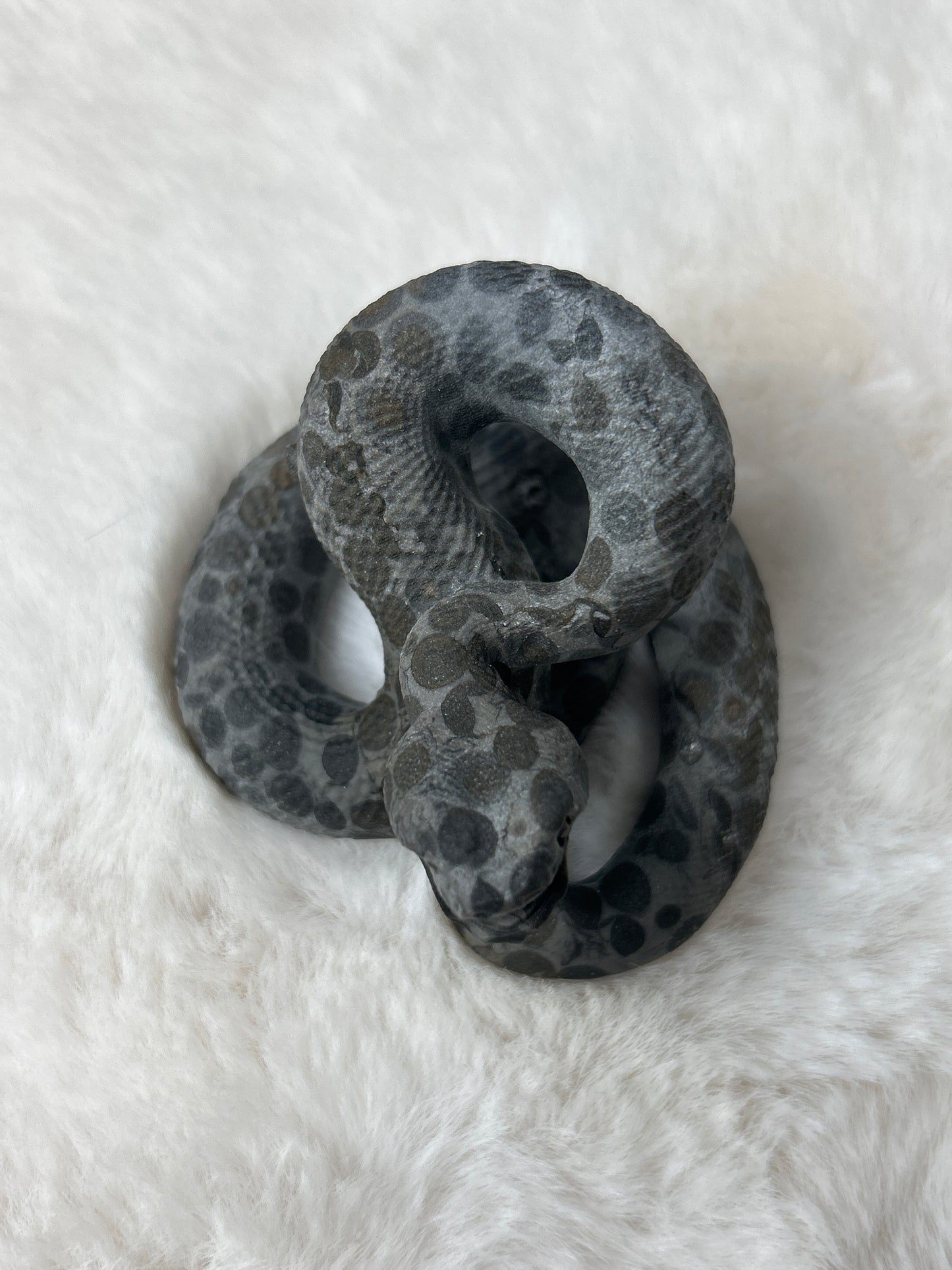 Spotted Snake