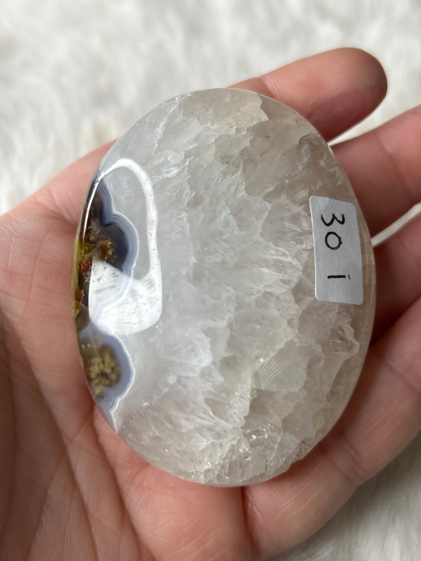 Scenic Moss Agate Palm