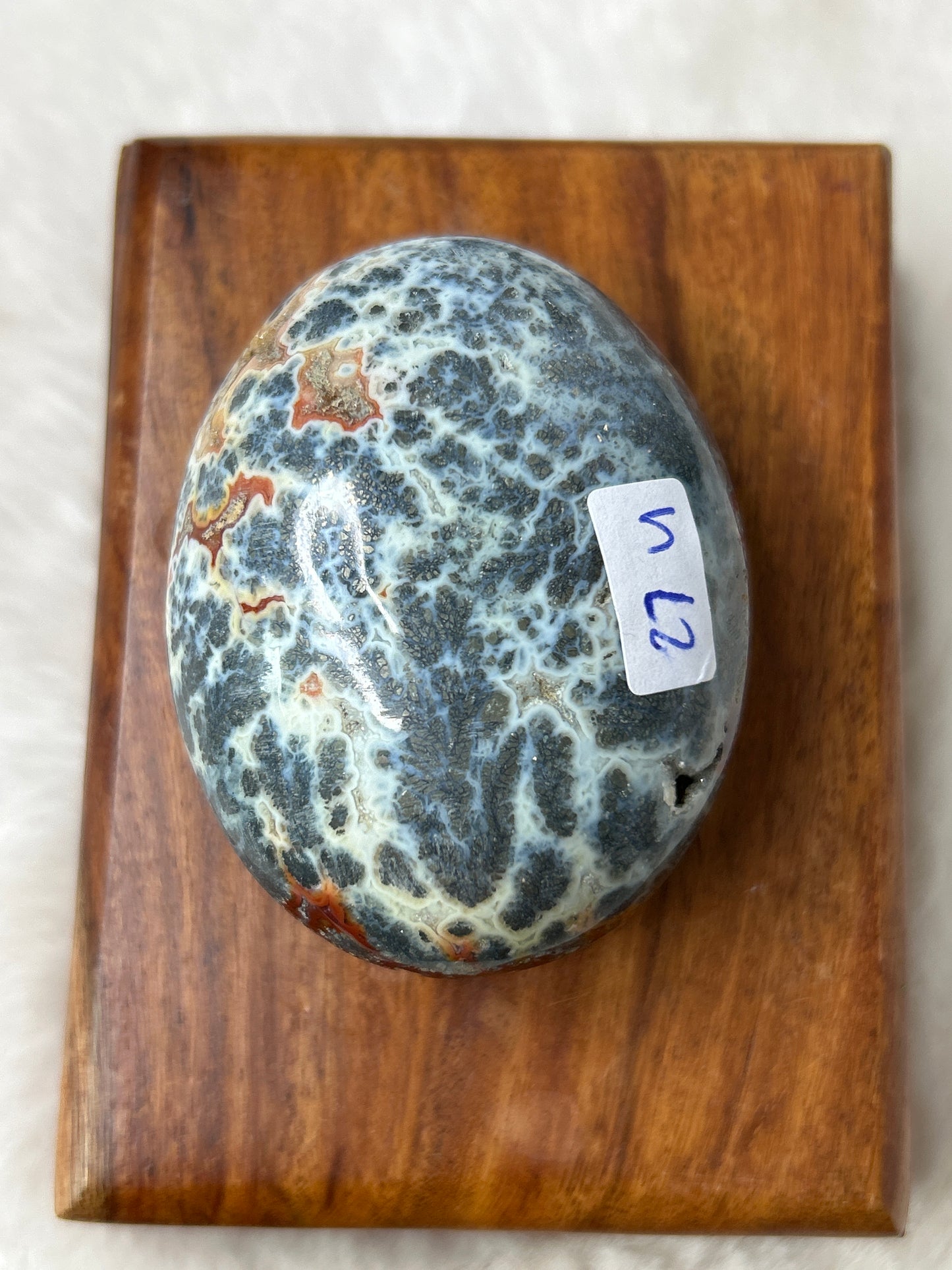 Marcasite & Agate Palm Stone- Indonesia
