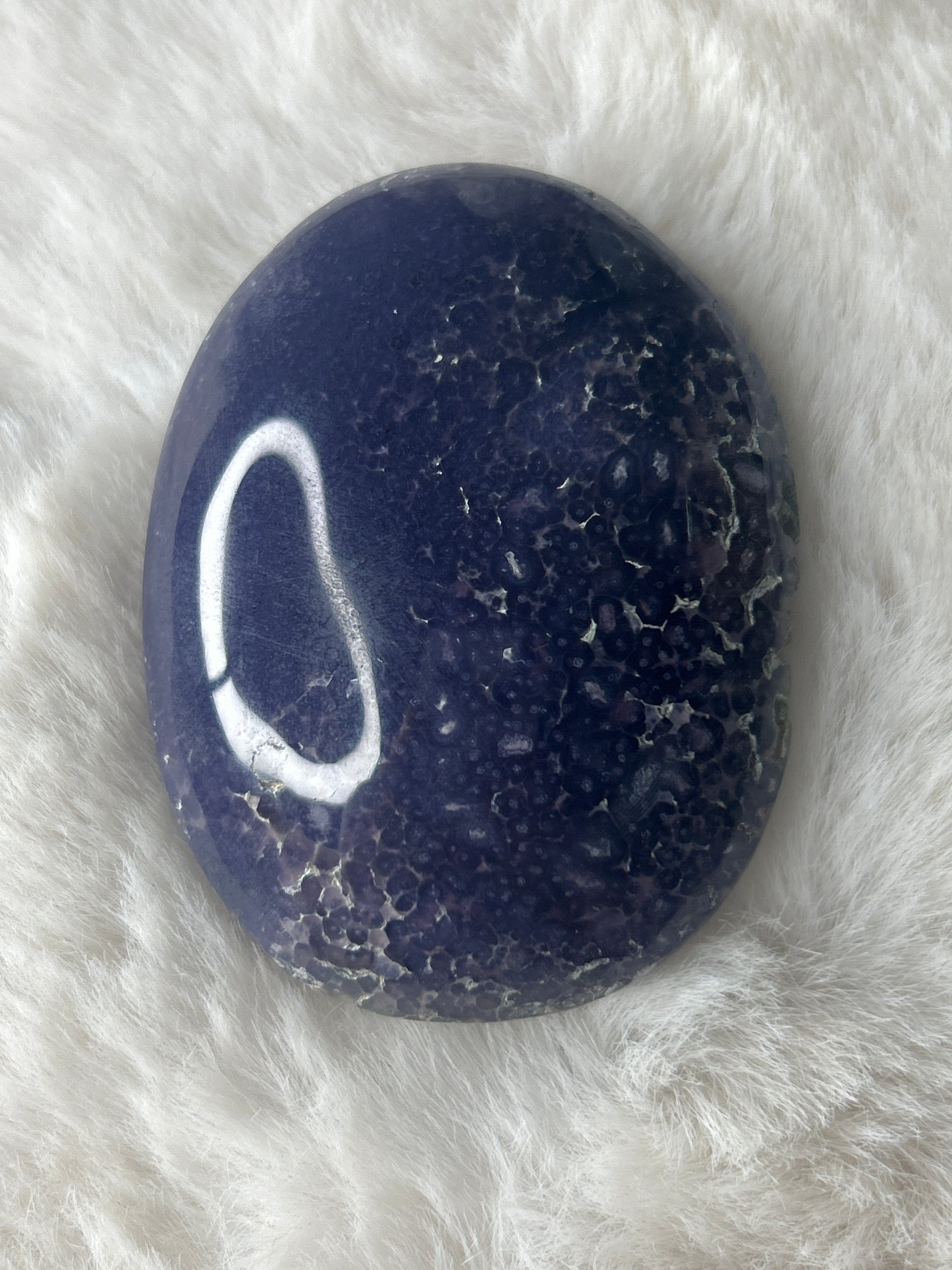 Grape Agate Palm