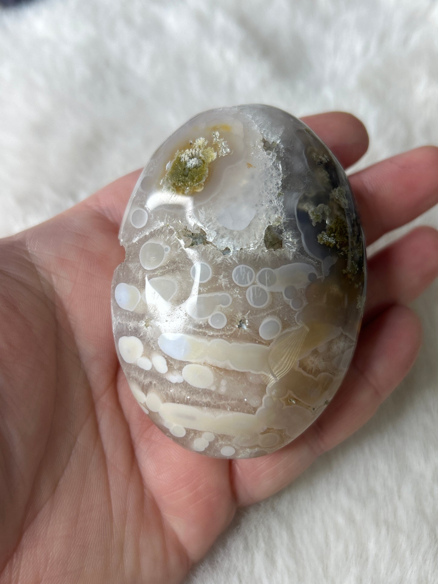 Scenic Moss Agate Palm