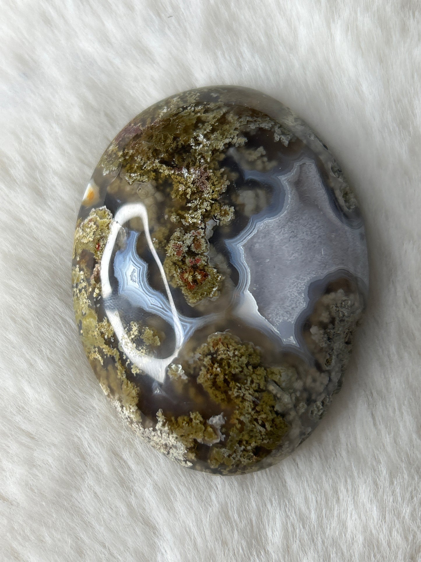 Scenic Moss Agate Palm