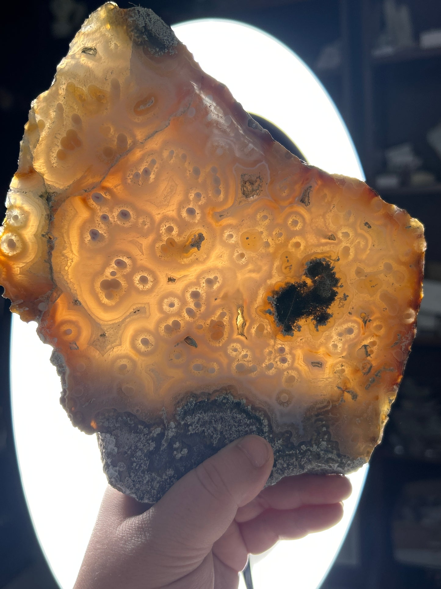 XL Scenic Moss Agate Slab