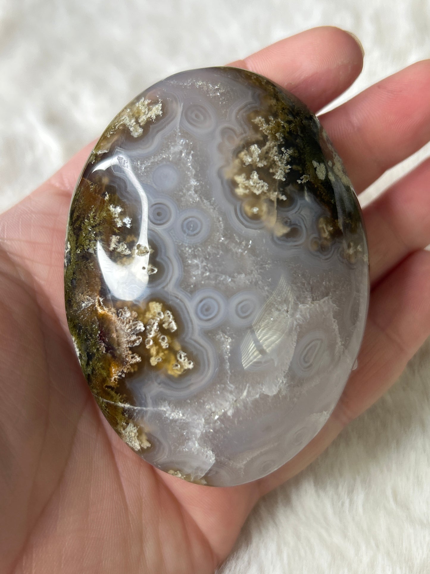 Scenic Moss Agate Palm
