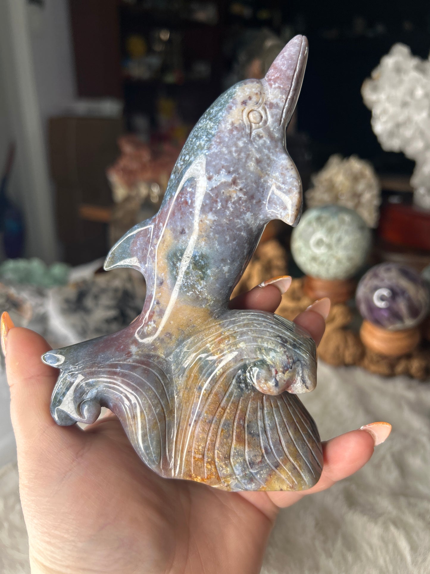 Ocean Jasper Dolphin