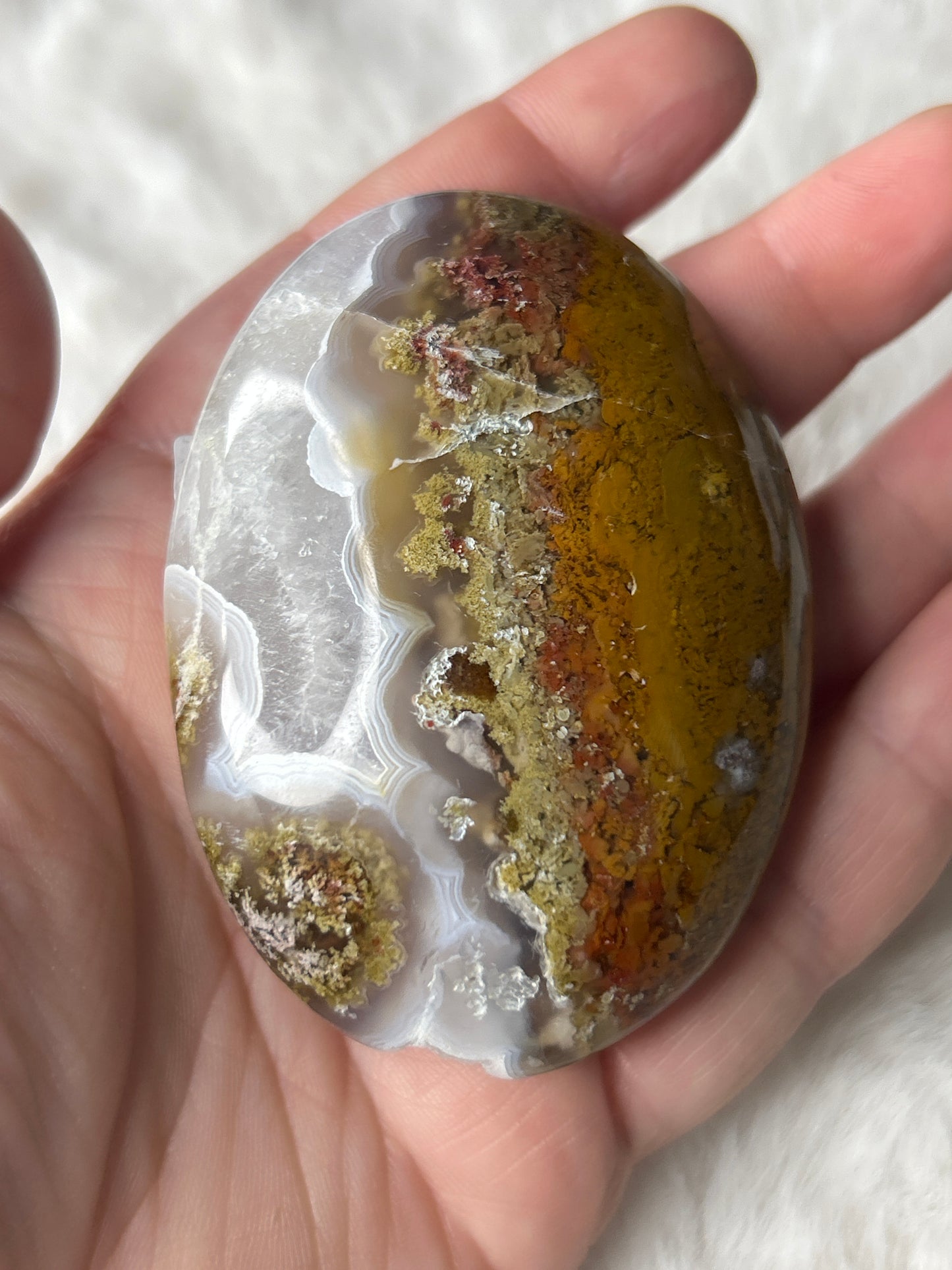 Scenic Moss Agate Palm