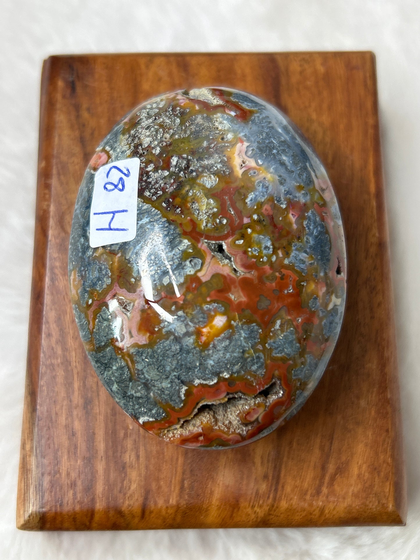 Marcasite & Agate Palm Stone- Indonesia
