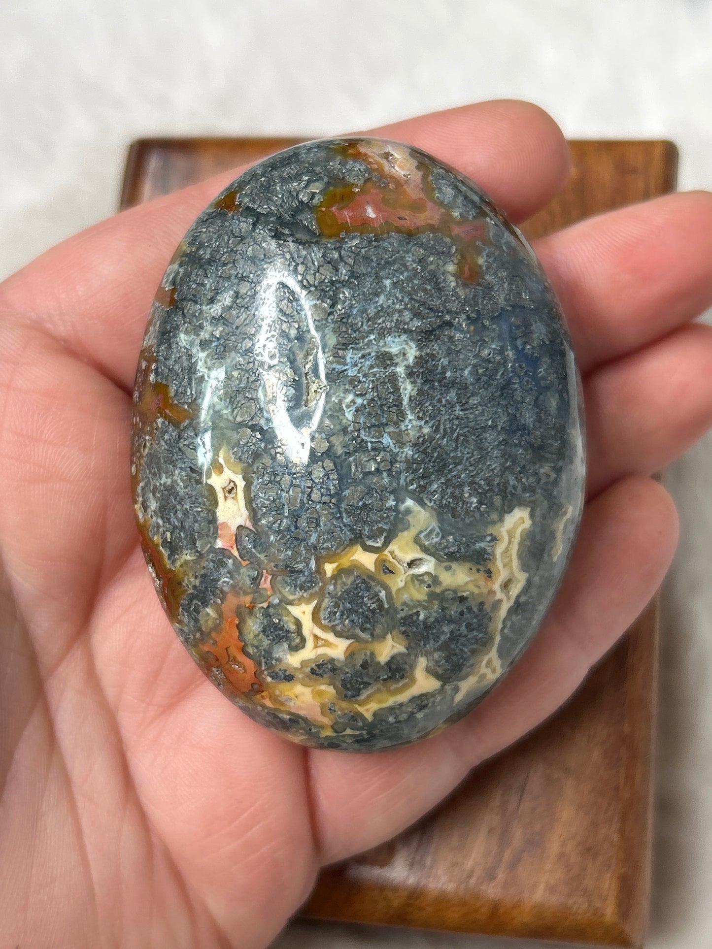 Marcasite & Agate Palm Stone- Indonesia