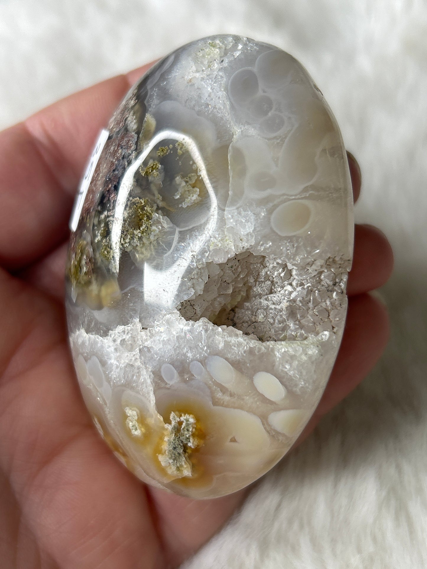 Scenic Moss Agate Palm