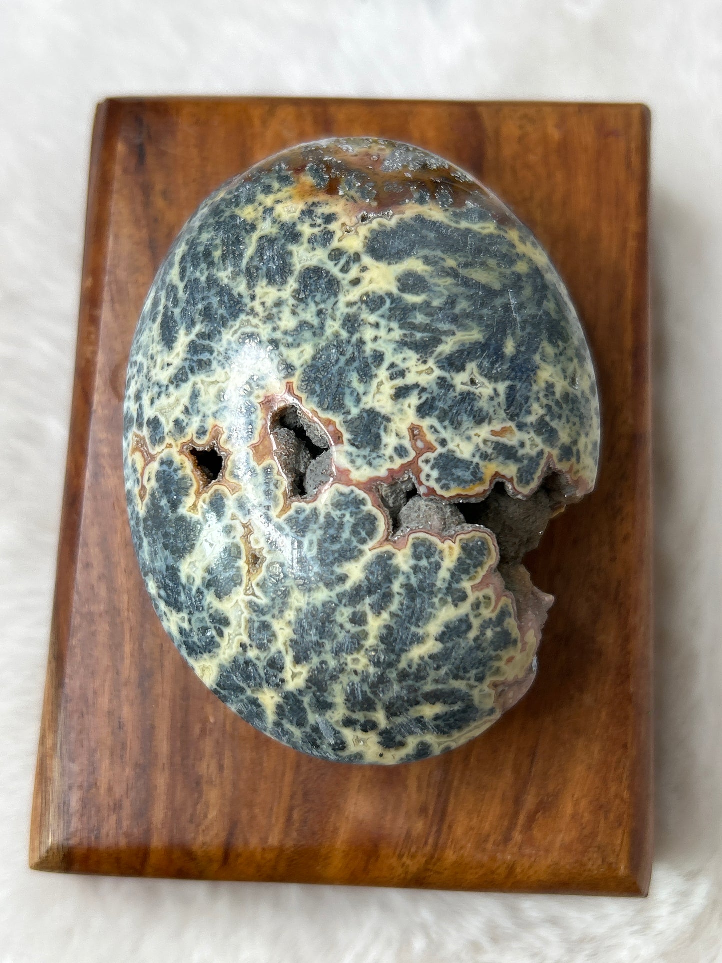 Marcasite & Agate Palm Stone- Indonesia