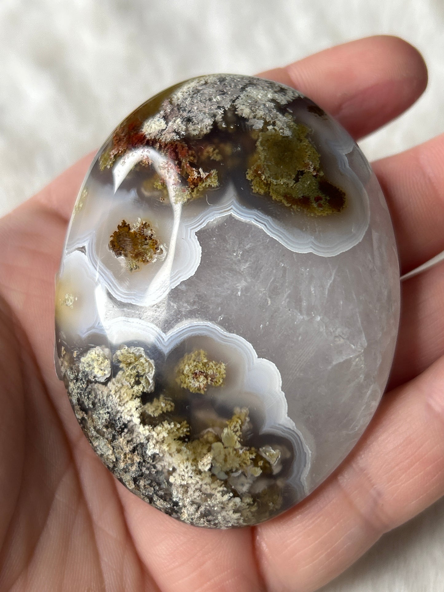 Scenic Moss Agate Palm