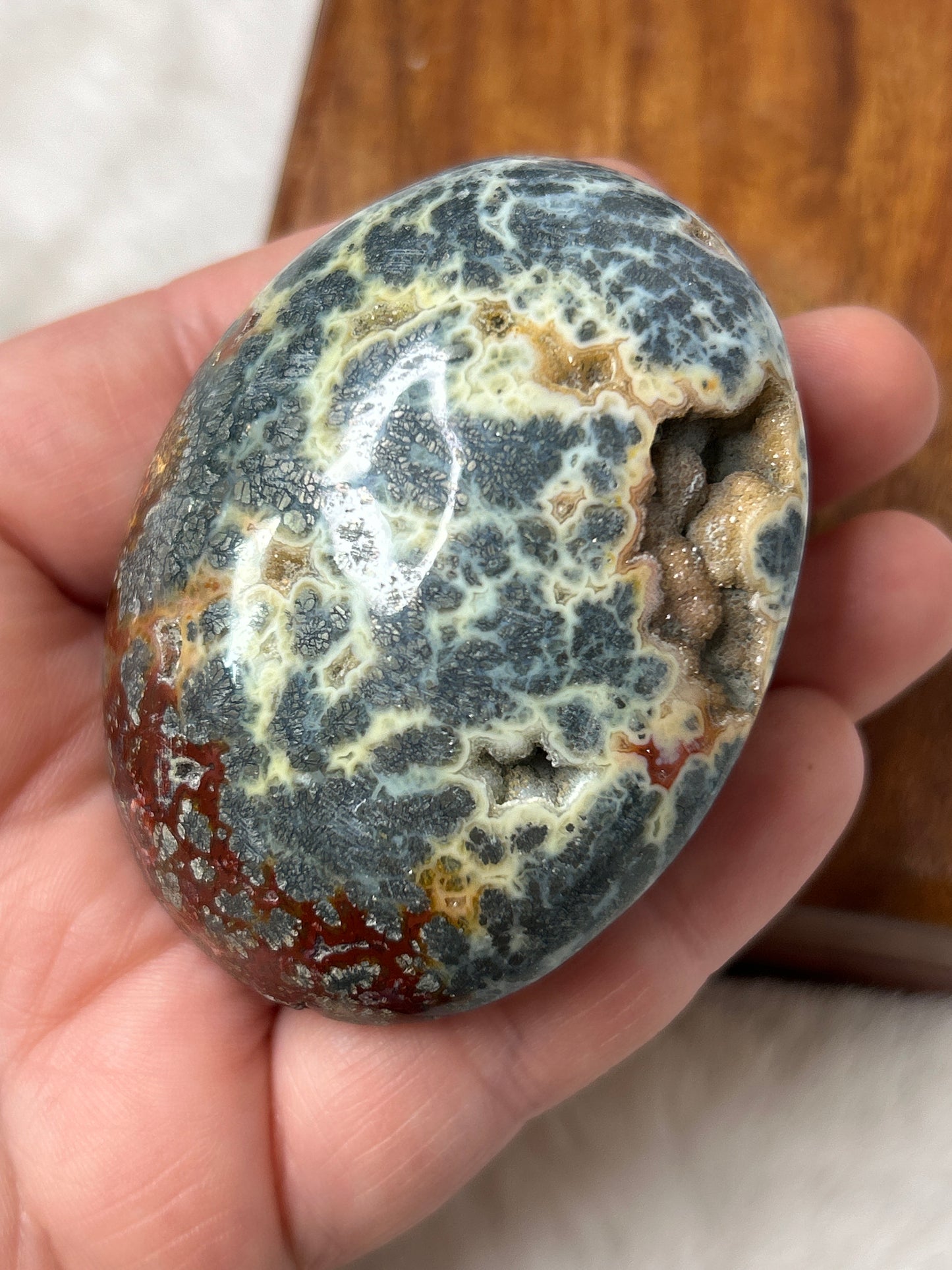 Marcasite & Agate Palm Stone- Indonesia