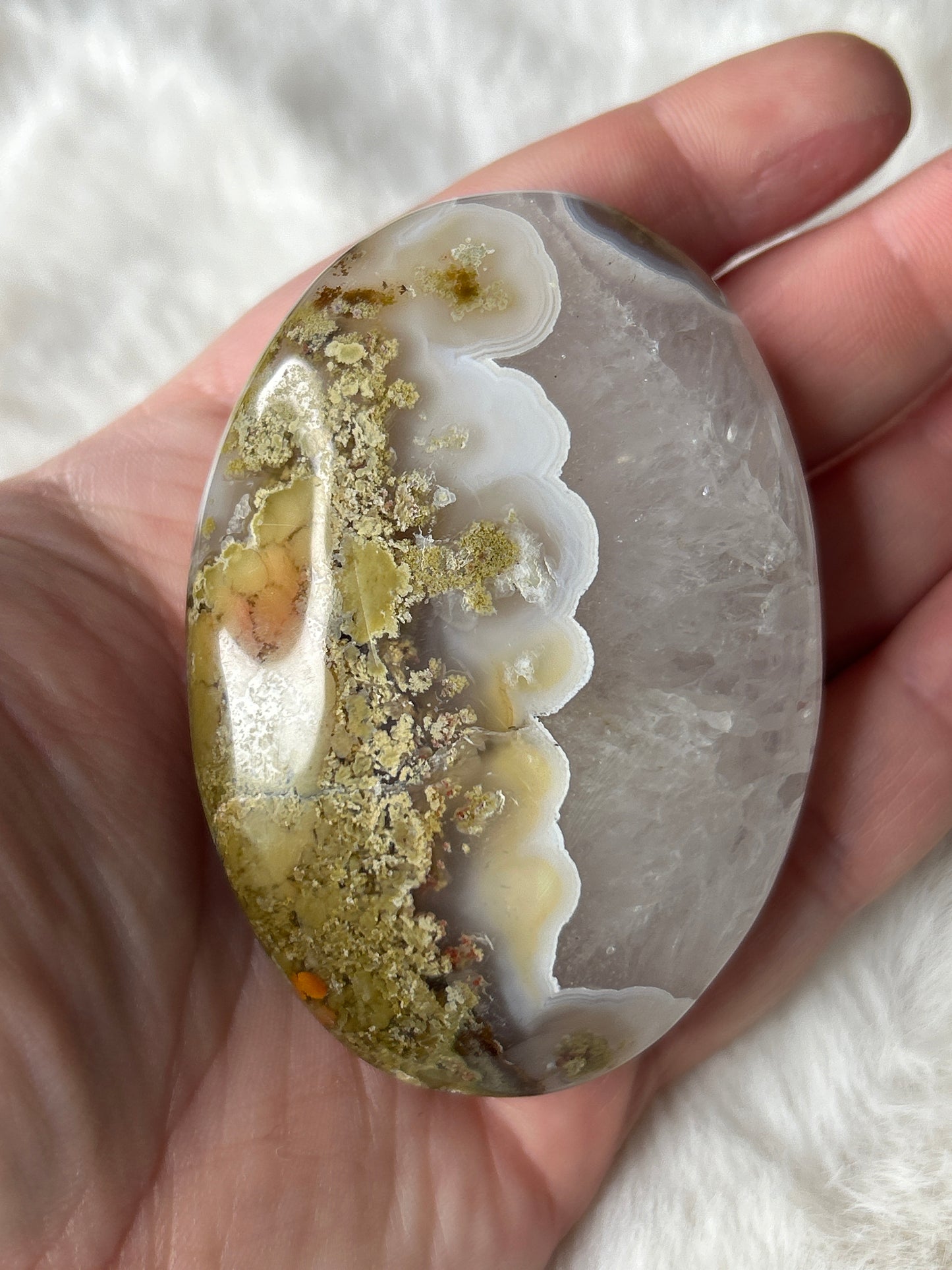Scenic Moss Agate Palm