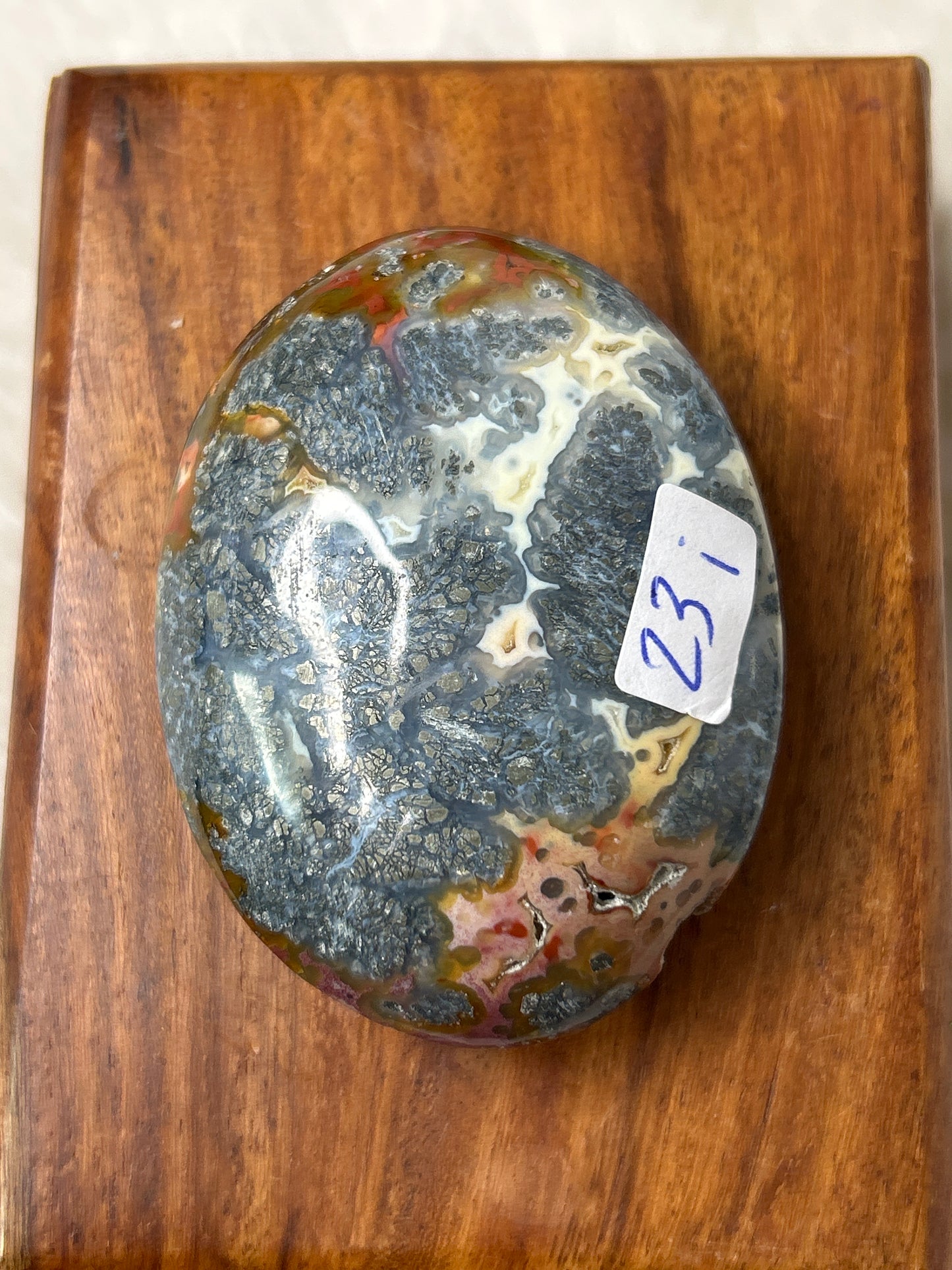 Marcasite & Agate Palm Stone - Indonesia