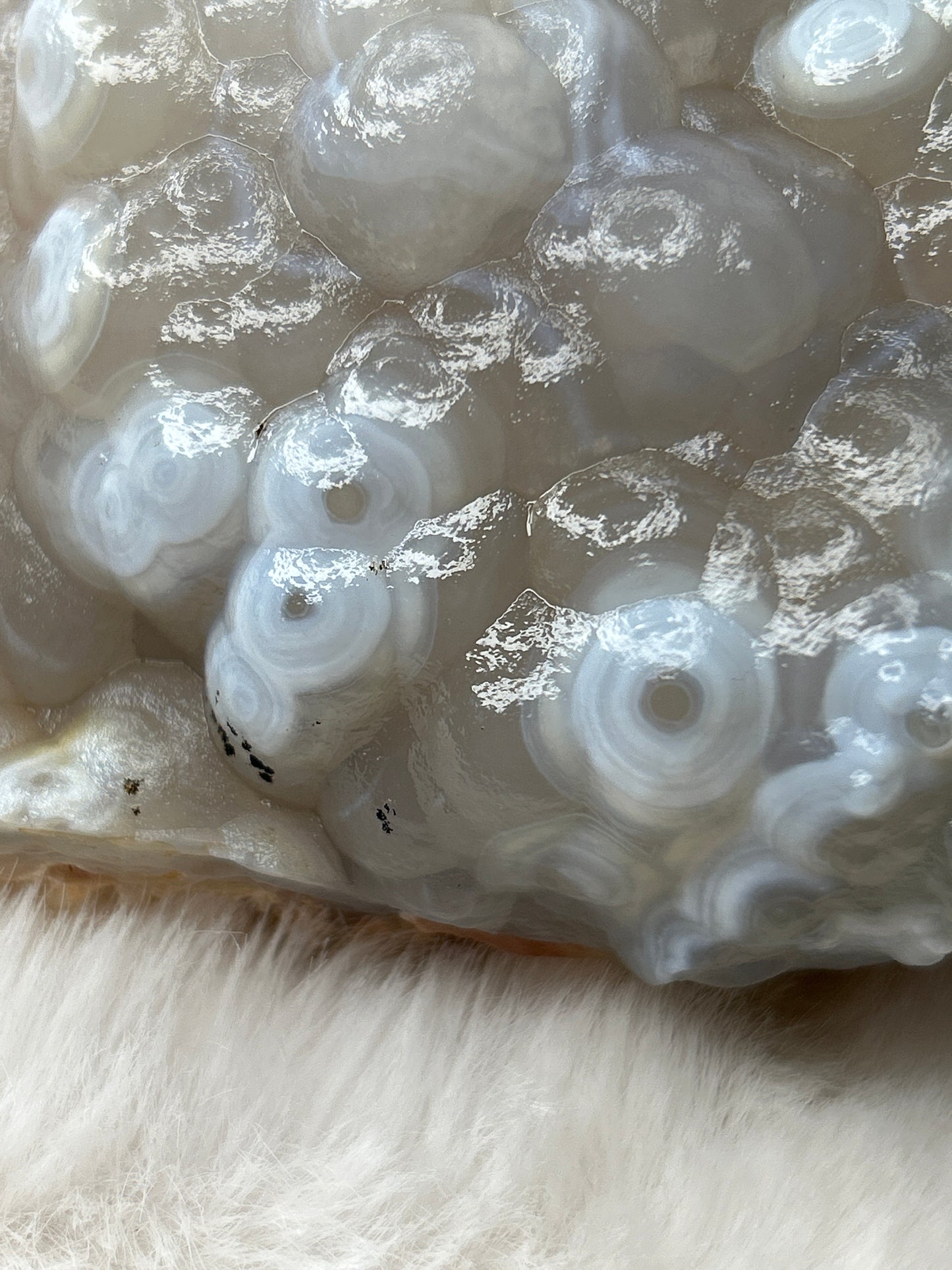Botryoidal Chalcedony