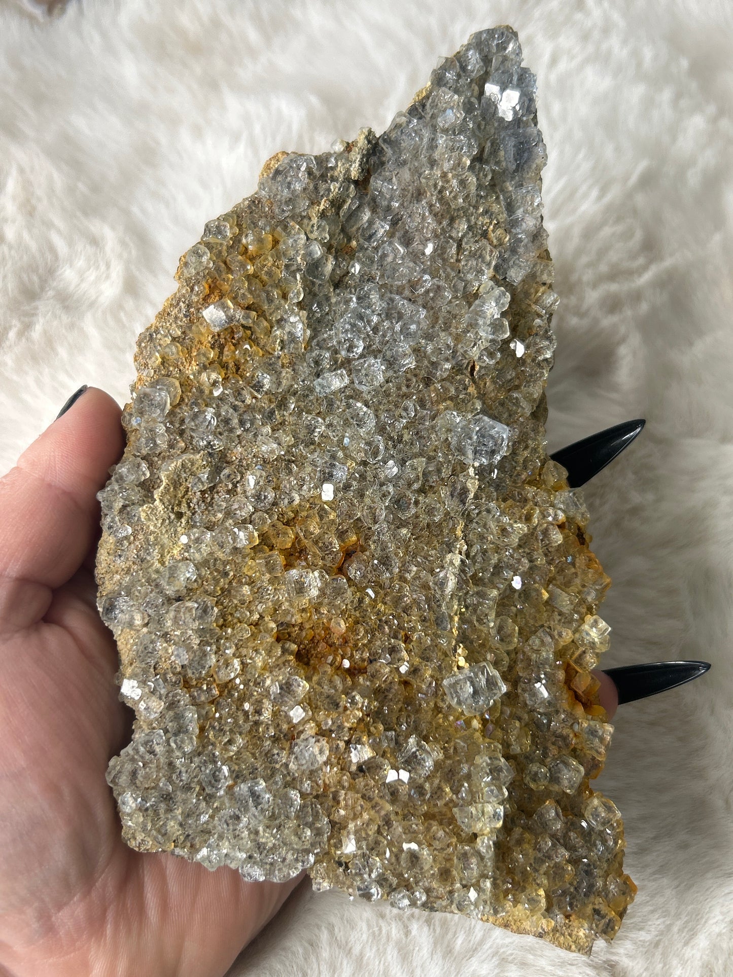 Cubic Fluorite on Matrix