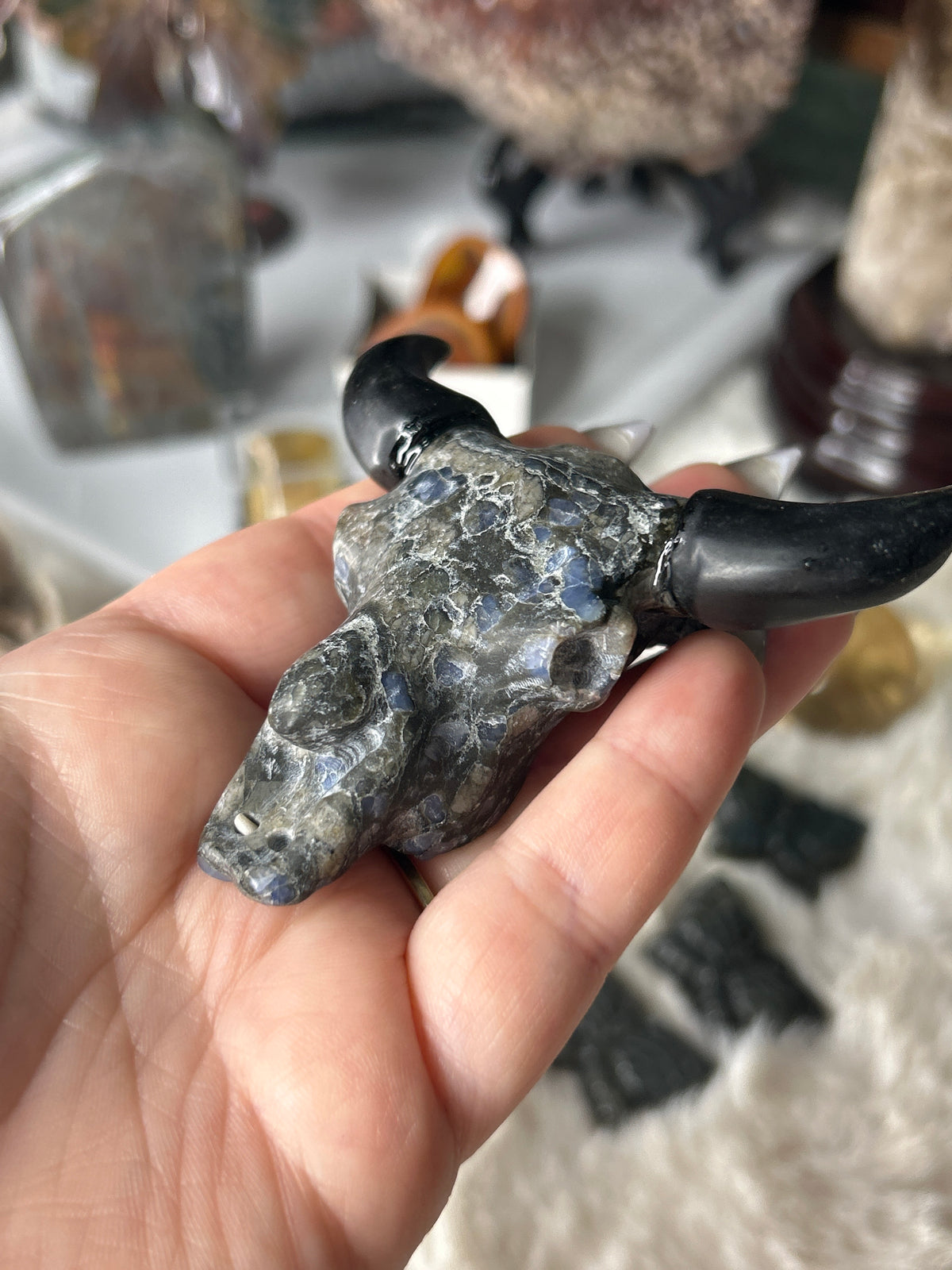 Que Sera Bull Skull