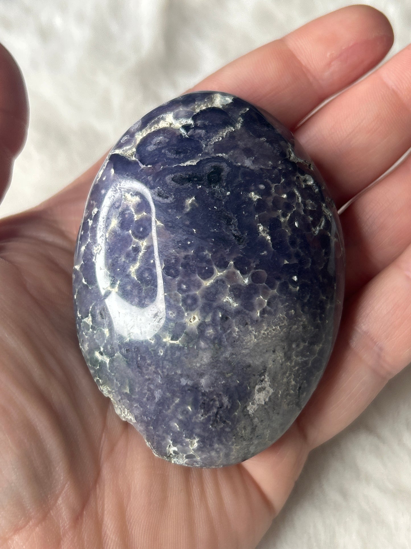 Grape Agate Palm