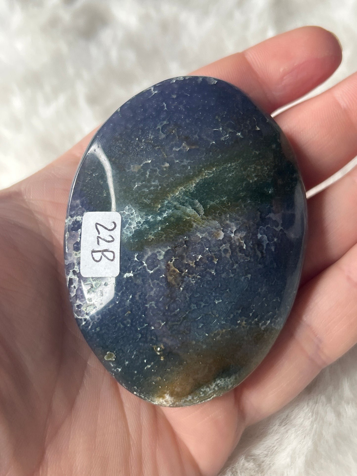 Grape Agate Palm