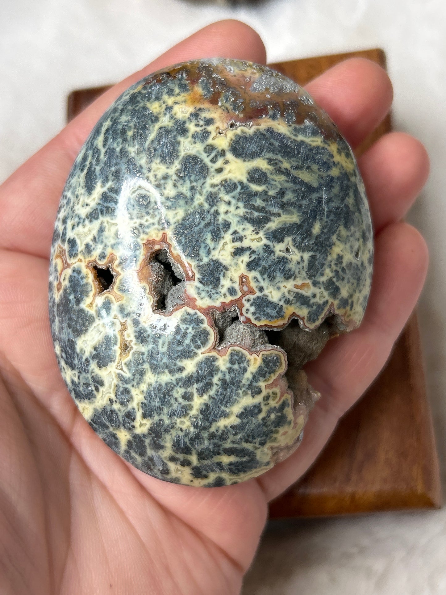 Marcasite & Agate Palm Stone- Indonesia