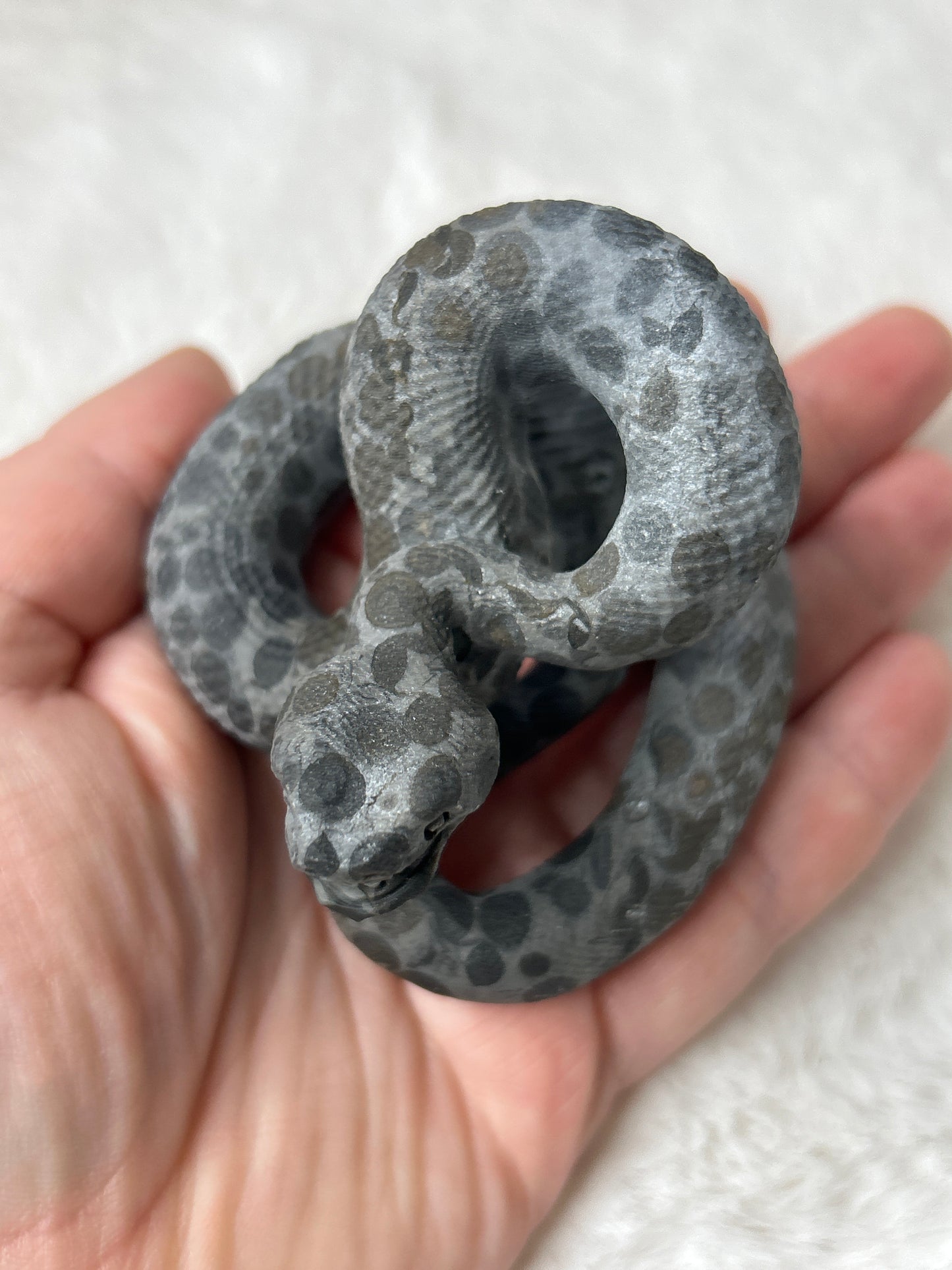 Spotted Snake