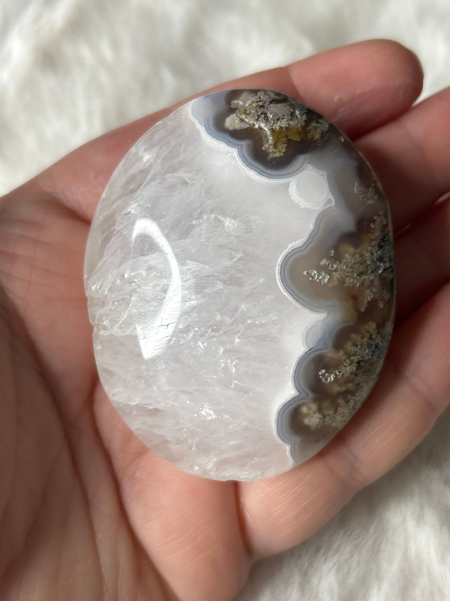 Scenic Moss Agate Palm