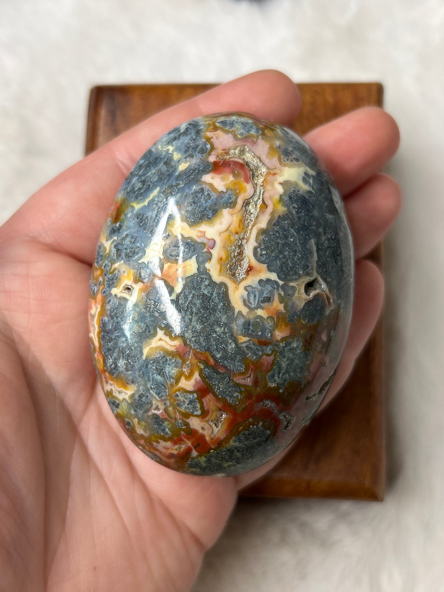 Marcasite & Agate Palm Stone- Indonesia