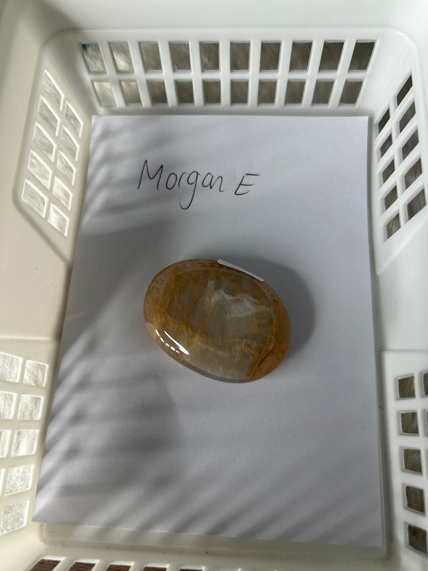 Morgan e