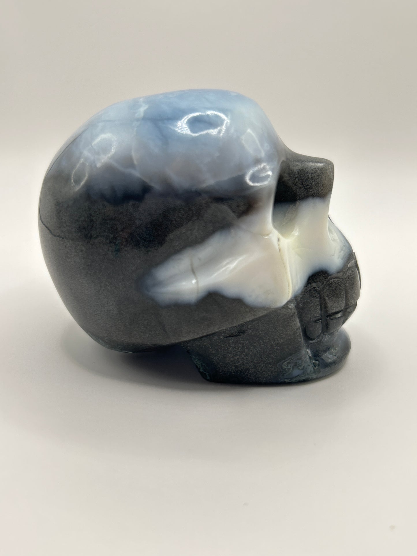 Blue Opal Skull