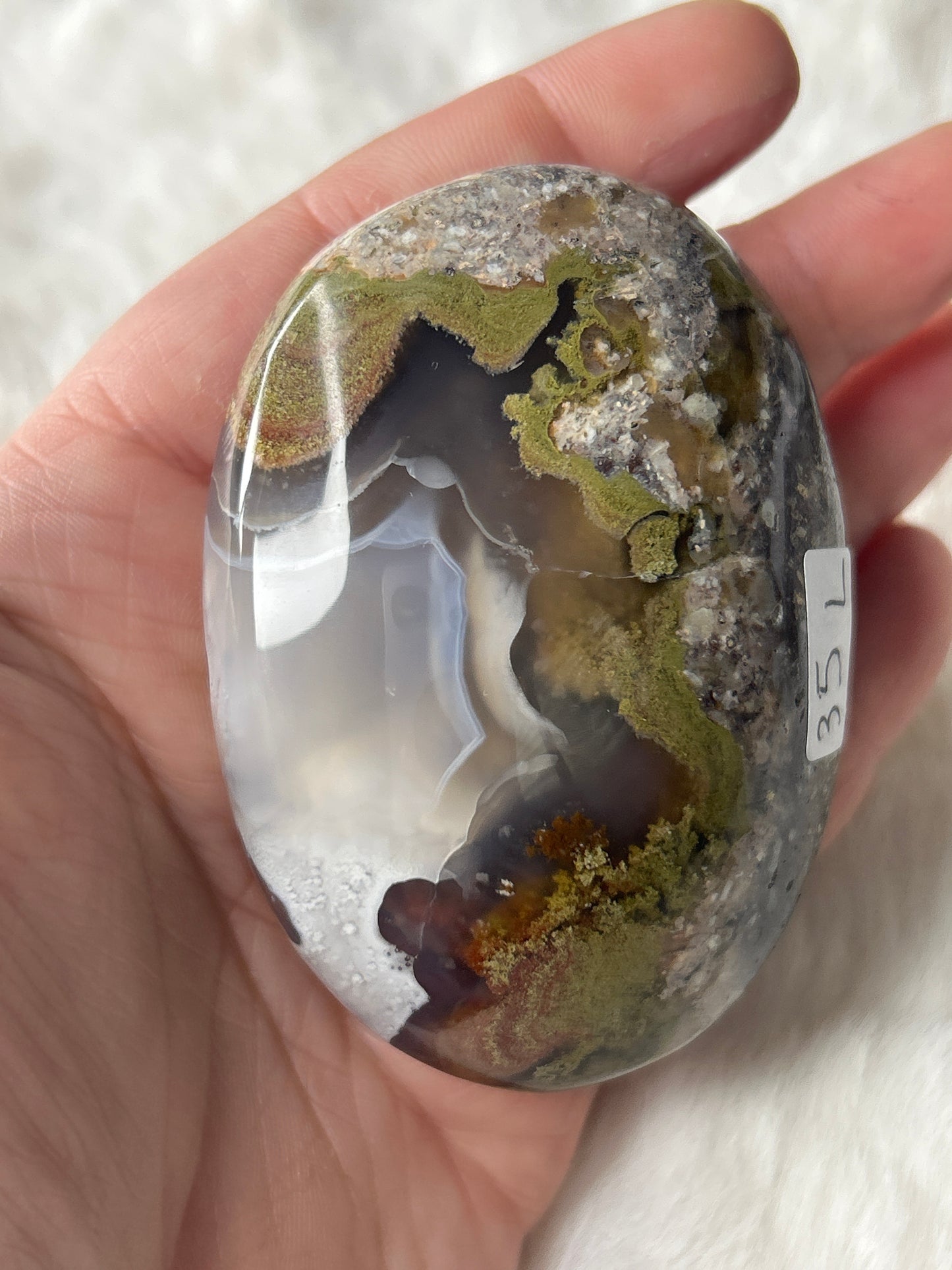 Scenic Moss Agate Palm