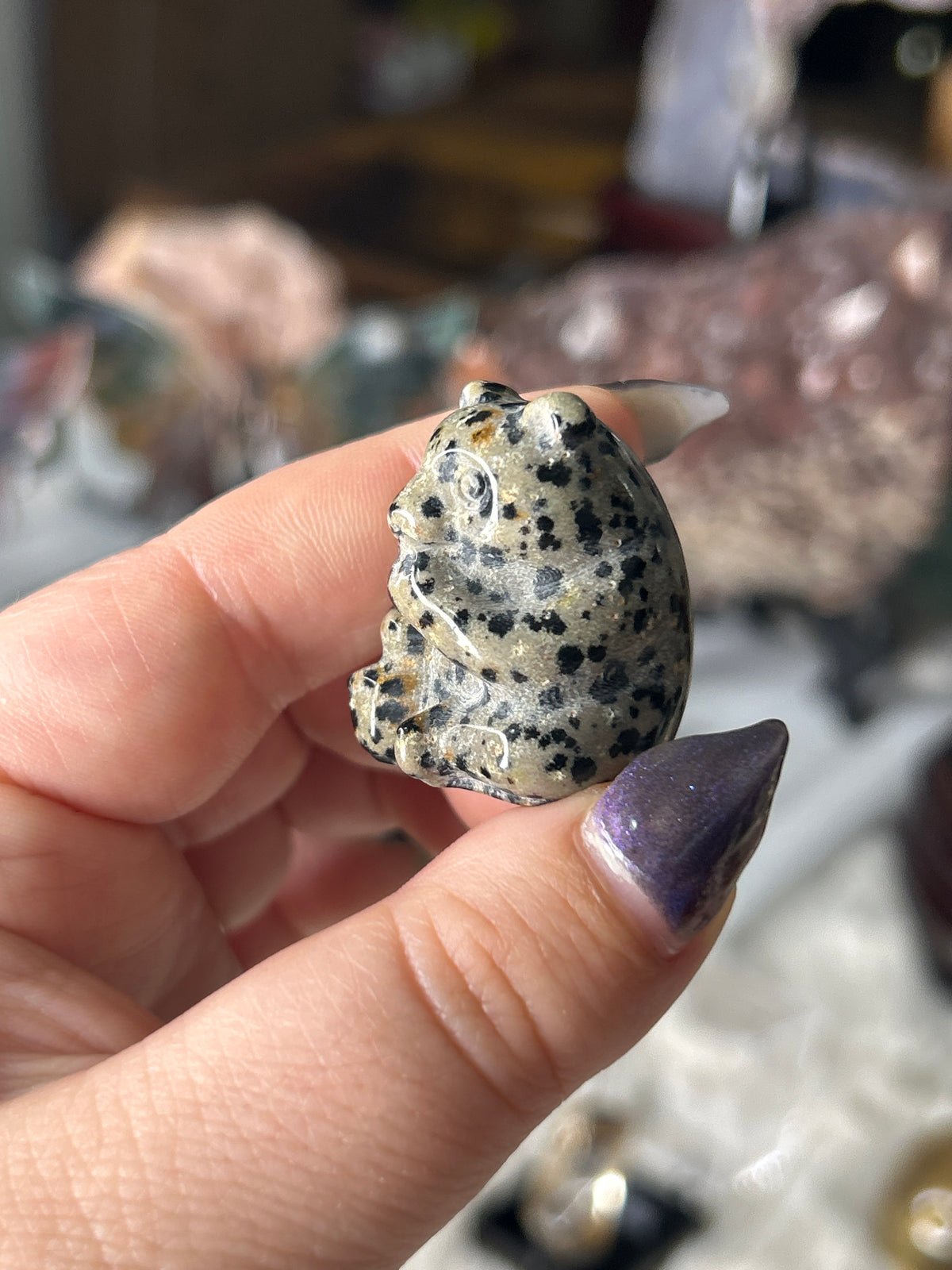 Dalmation Jasper Panda