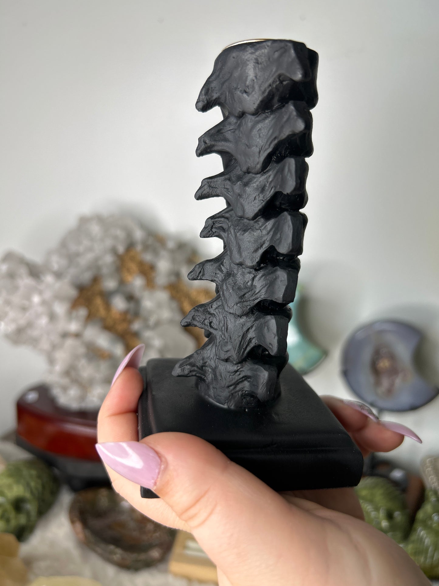 Vertebrae Candlestick Holder
