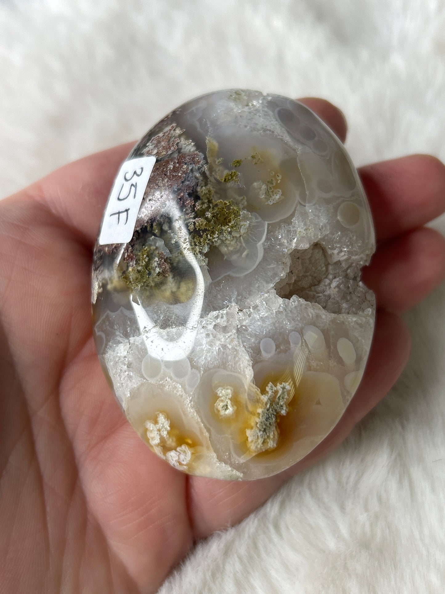 Scenic Moss Agate Palm