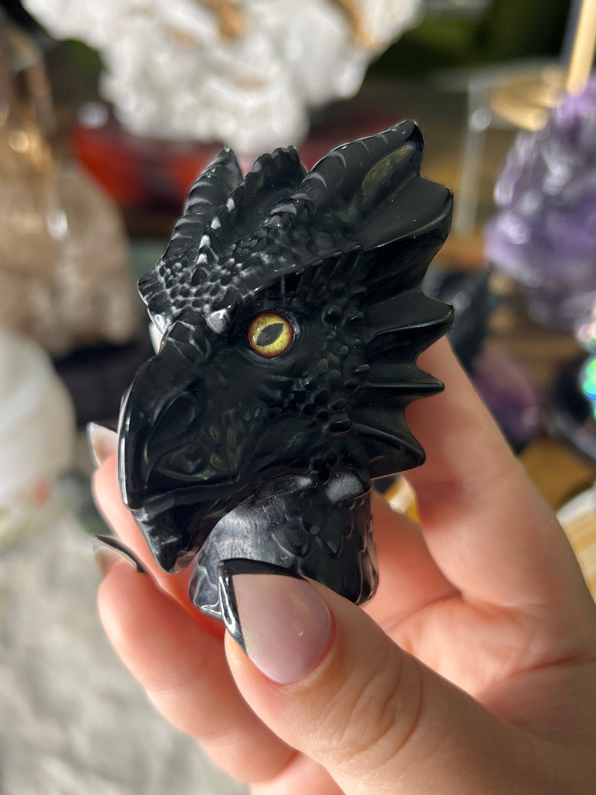 Obsidian Dragon Head