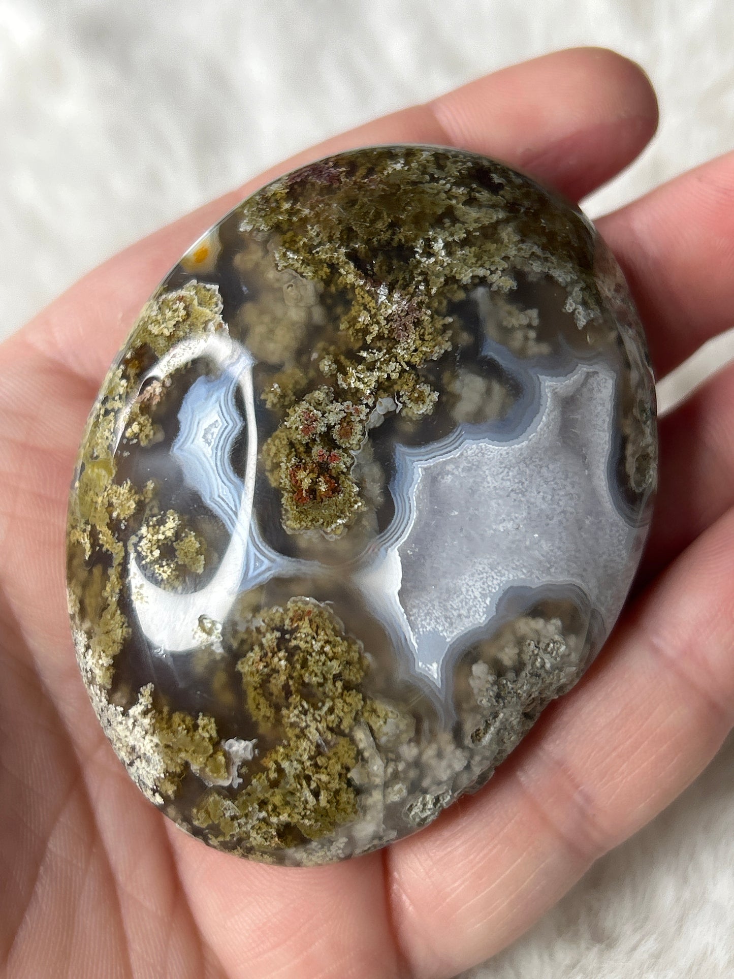 Scenic Moss Agate Palm