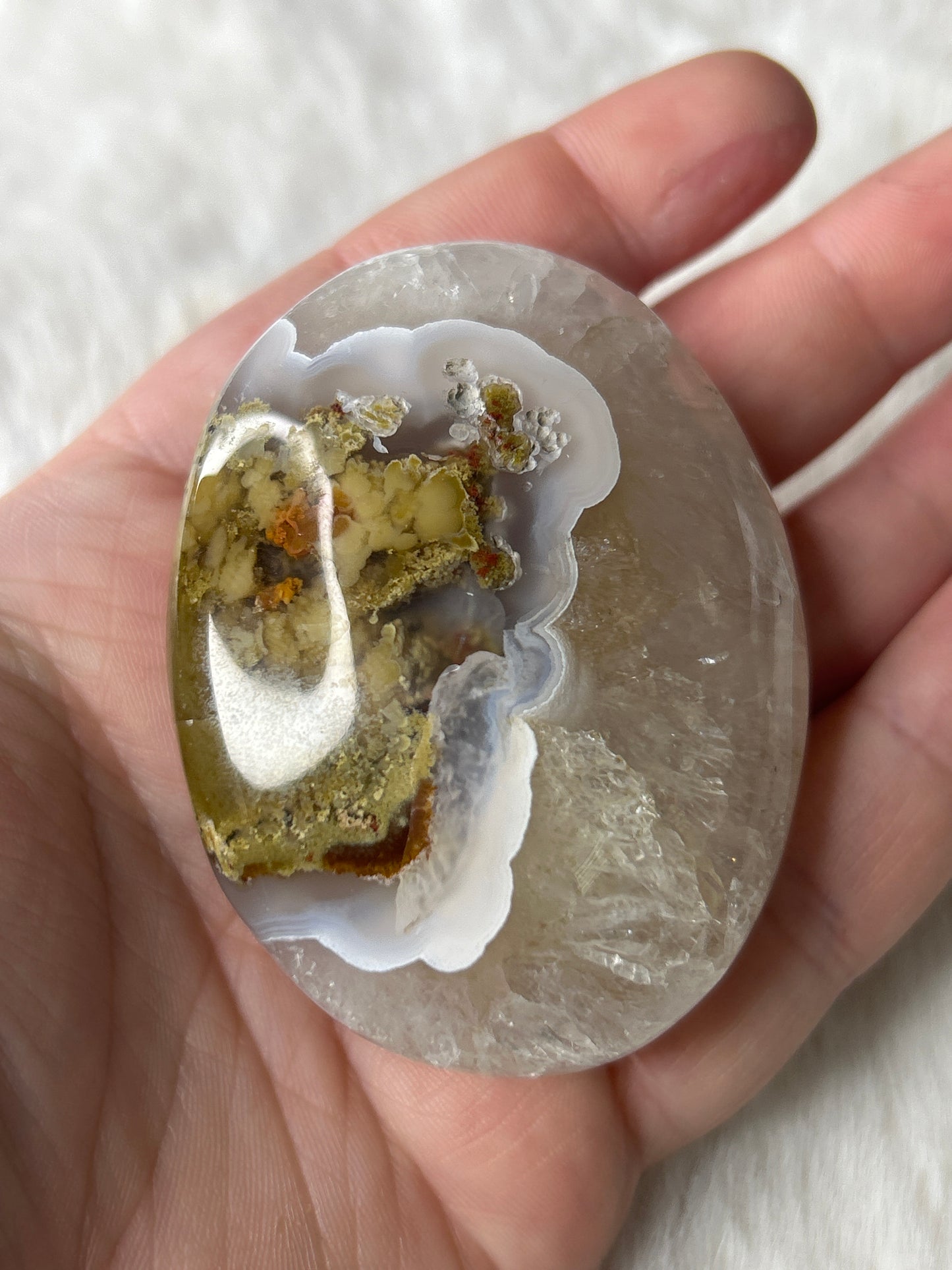 Scenic Moss Agate Palm