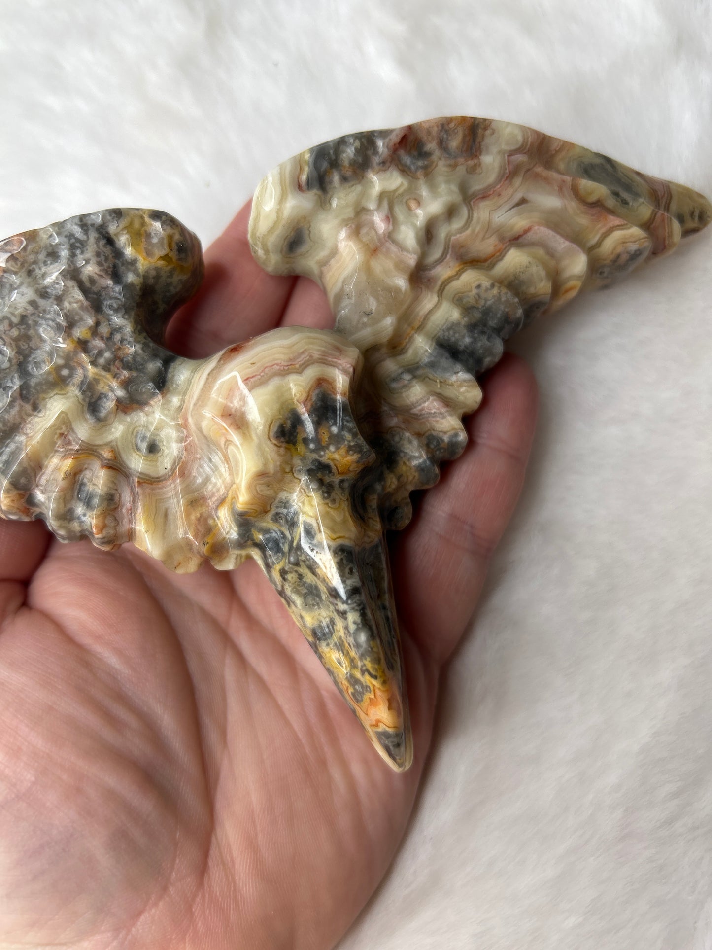 Crazy Lace Agate Raven Skull & Wings