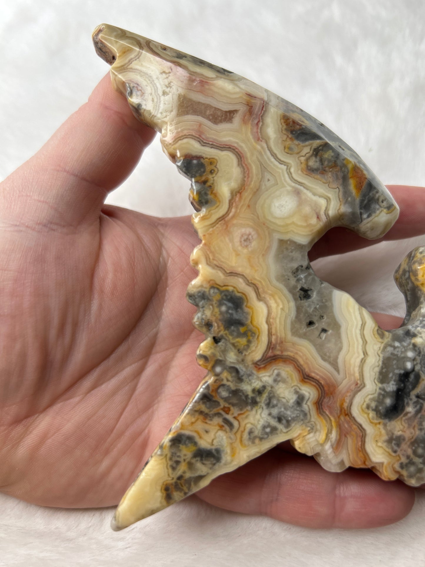 Crazy Lace Agate Raven Skull & Wings