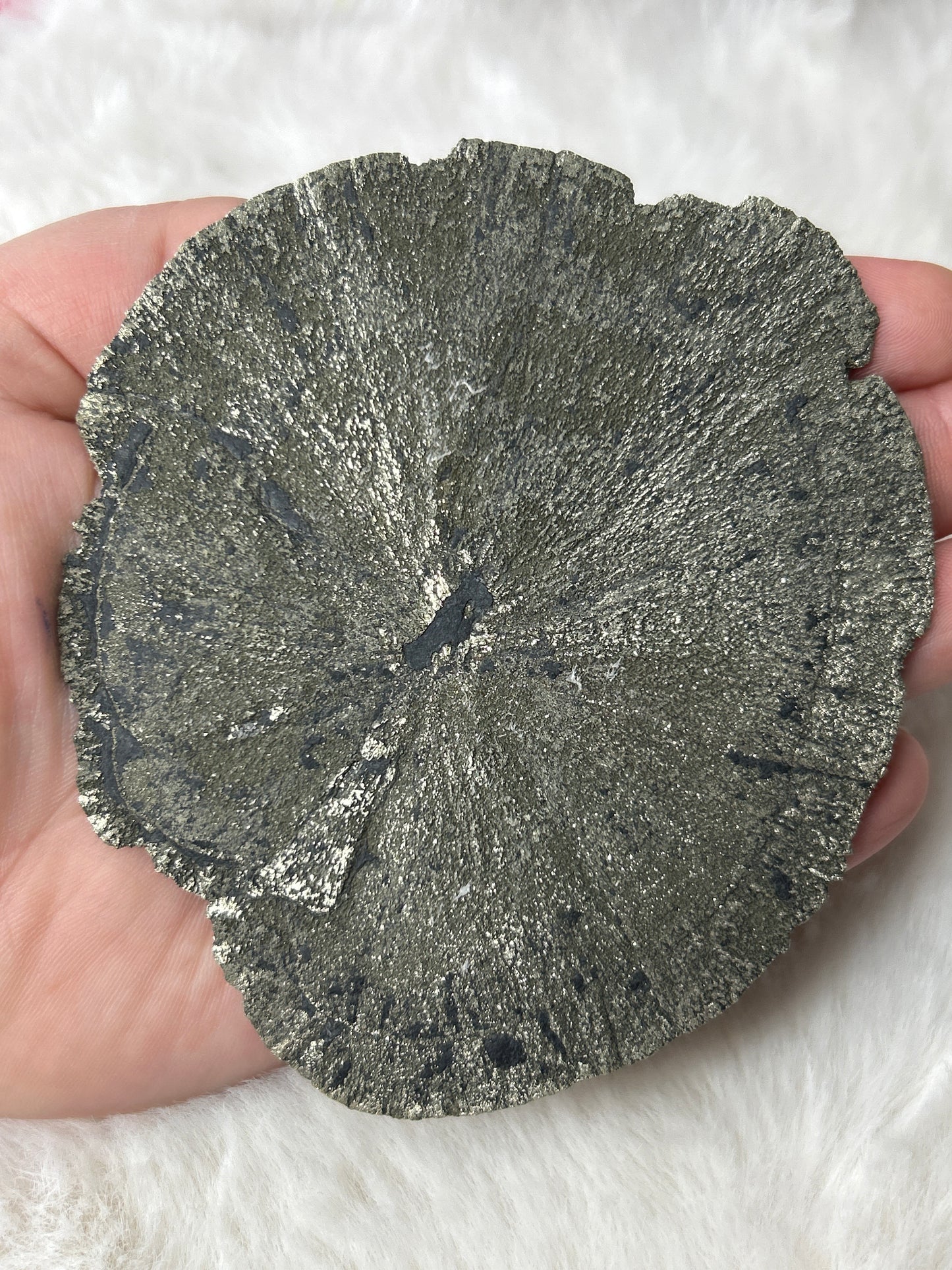 Pyrite Sun