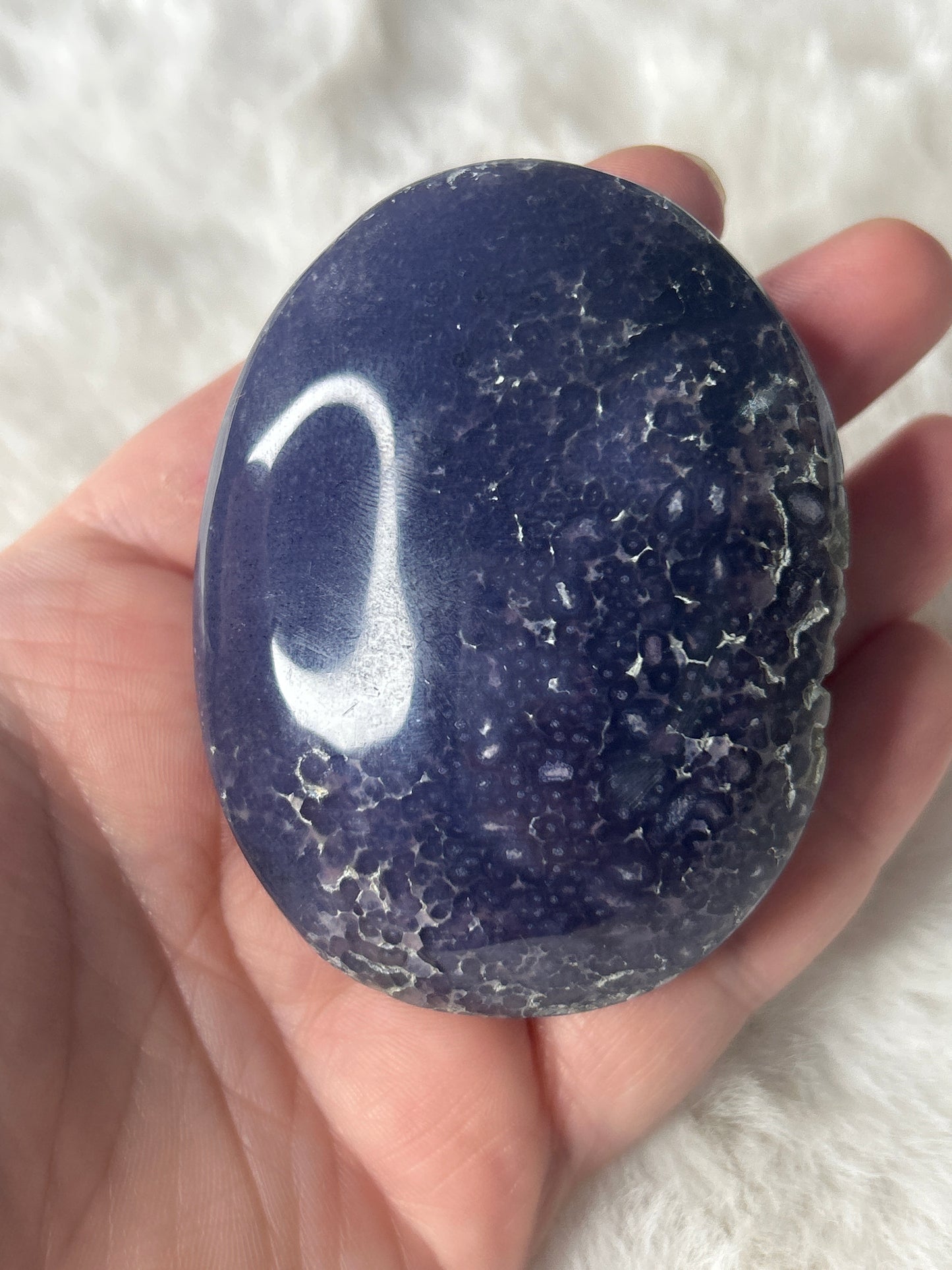 Grape Agate Palm