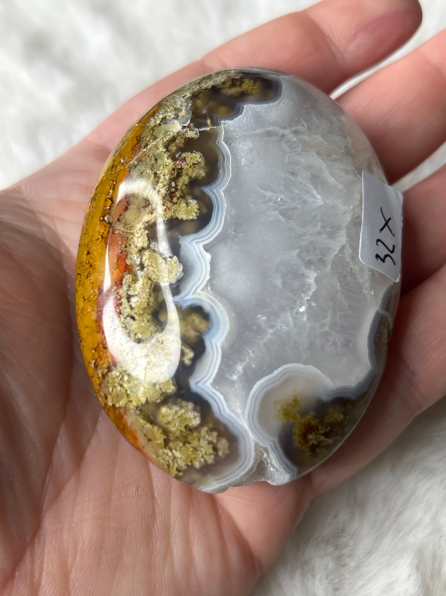 Scenic Moss Agate Palm