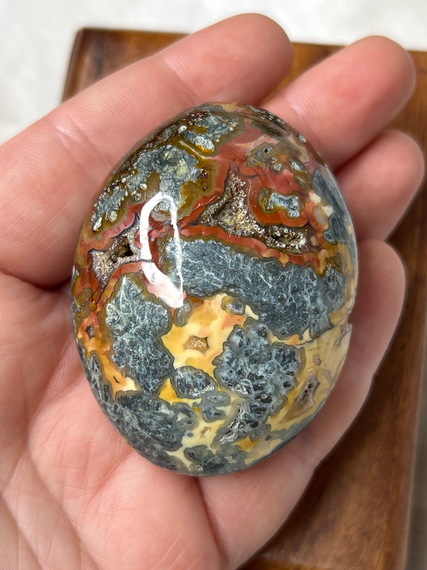 Marcasite & Agate Palm Stone - Indonesia