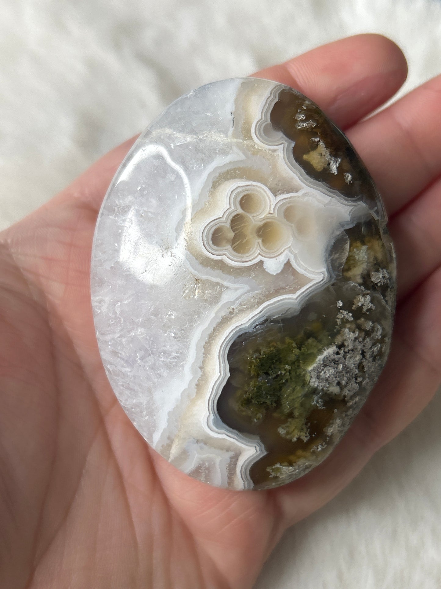 Scenic Moss Agate Palm