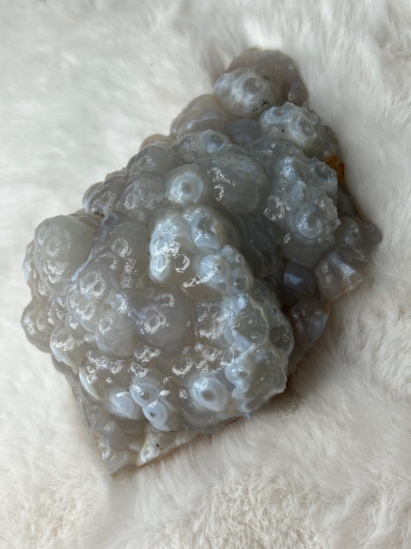 Botryoidal Chalcedony
