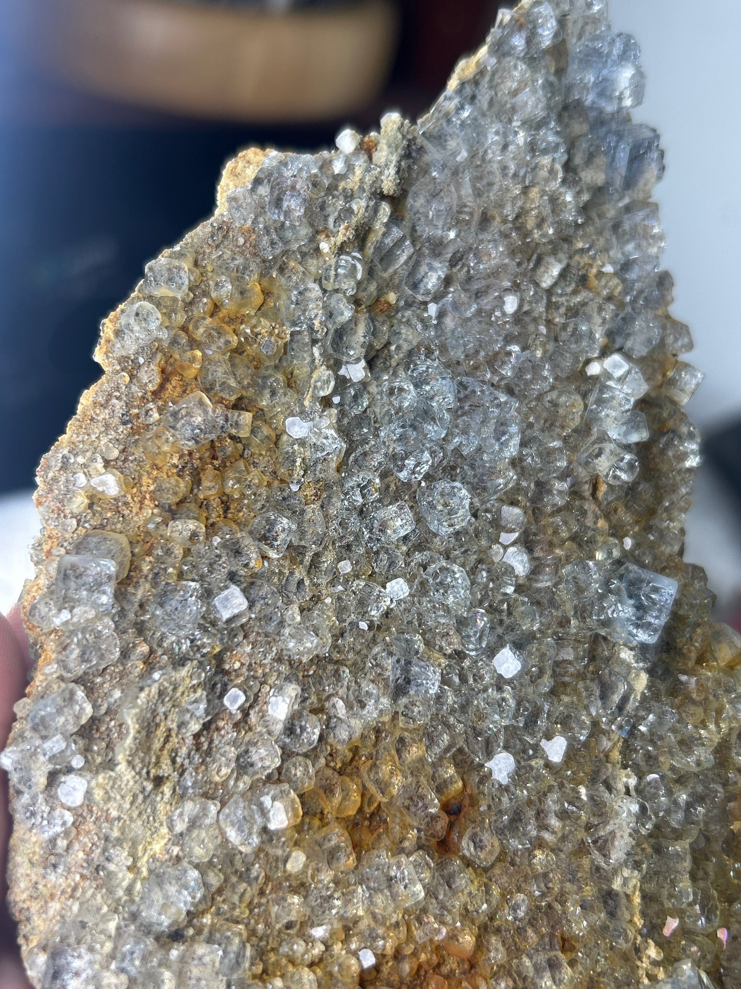 Cubic Fluorite on Matrix