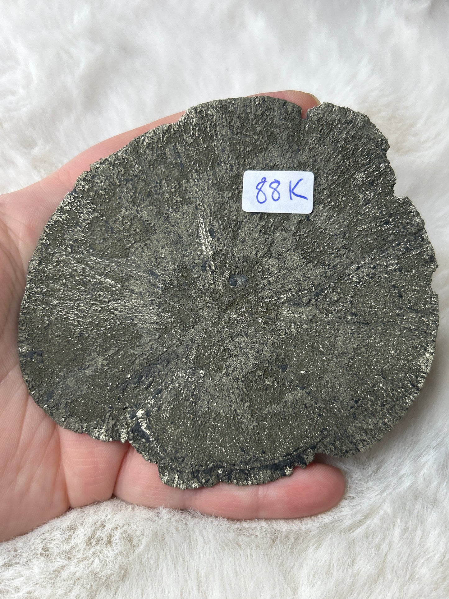 Pyrite Sun