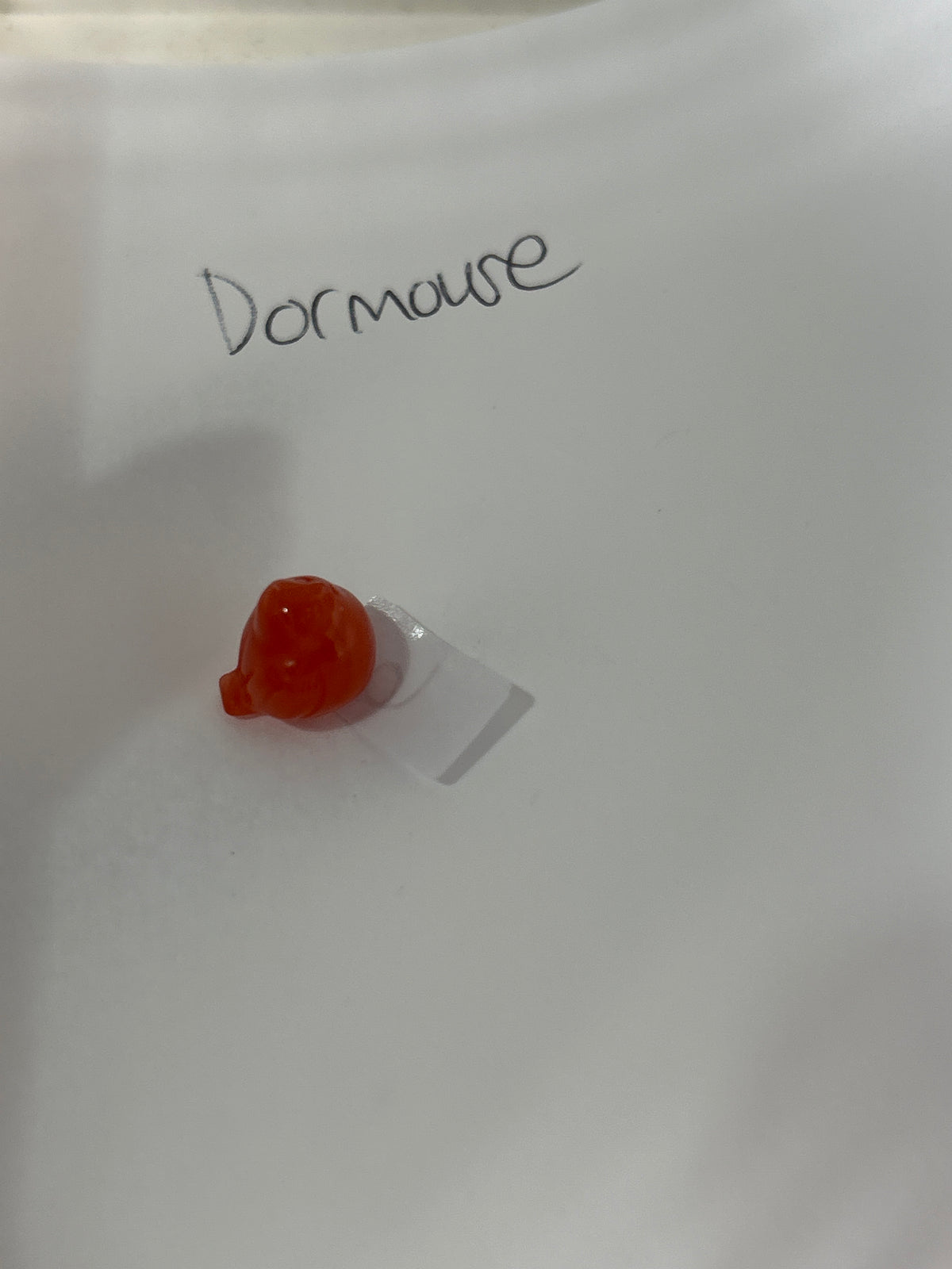 Dormouse