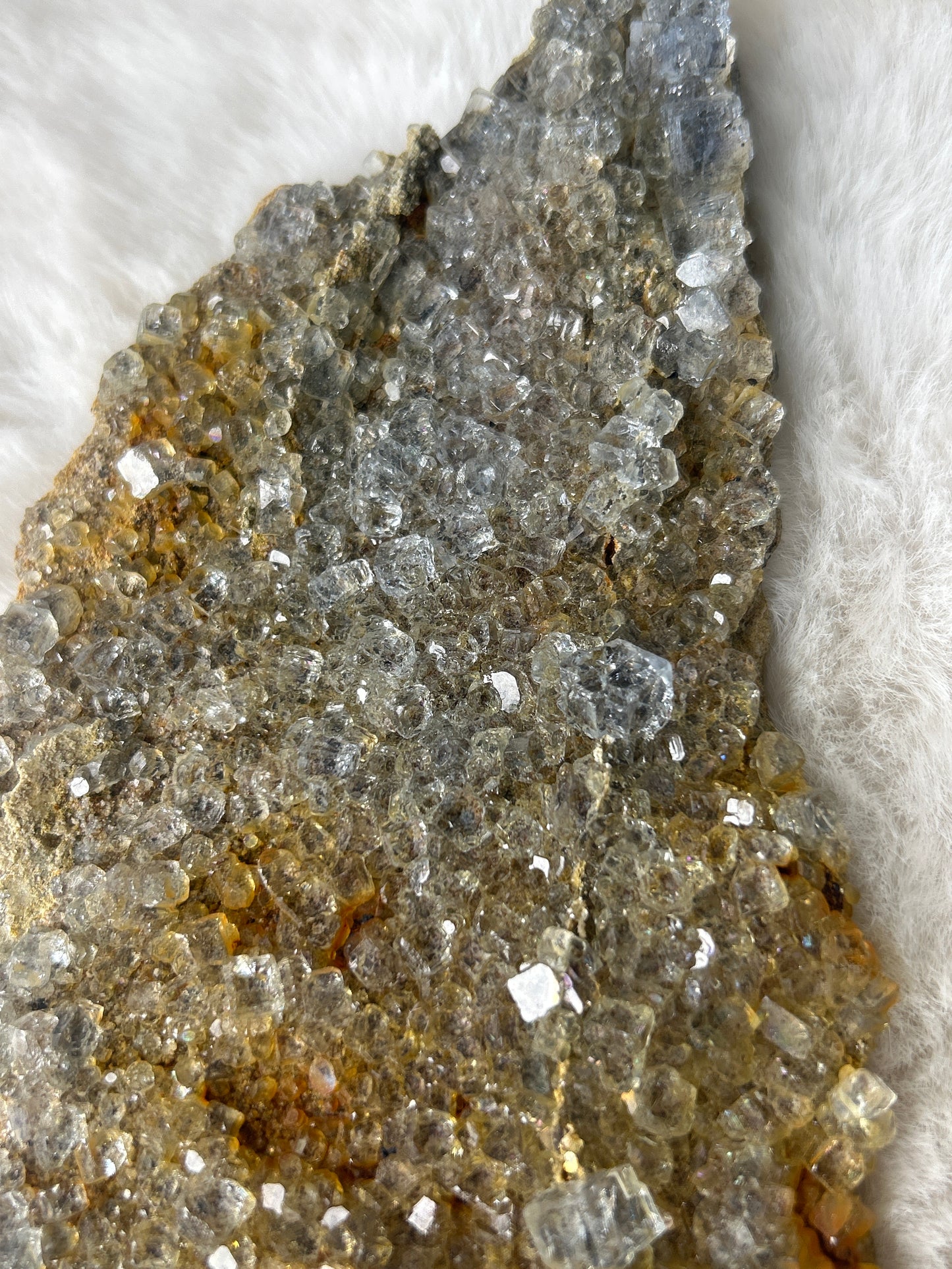 Cubic Fluorite on Matrix
