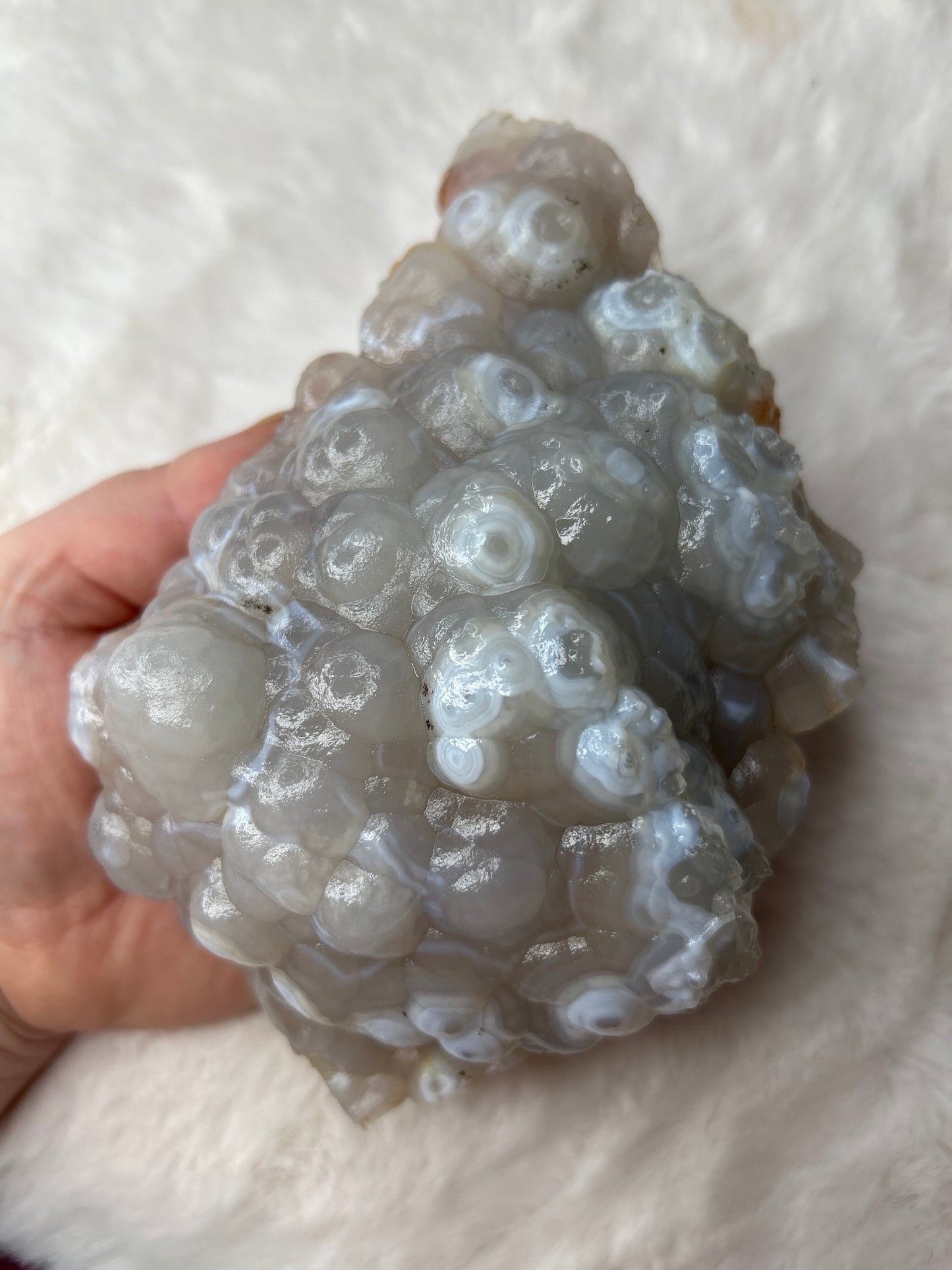Botryoidal Chalcedony